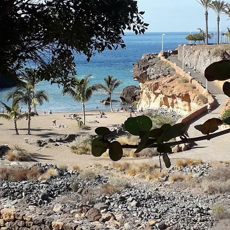Appartamento Cosy On Rooftop Playa Paraiso (Tenerife)