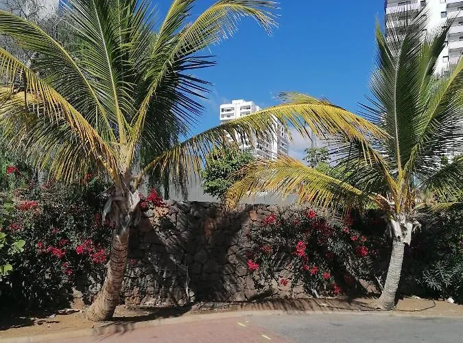 Cosy On Rooftop Apartament Playa Paraiso (Tenerife)